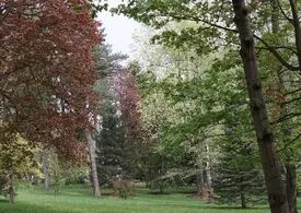 43 MCI 2024 Celadna 37